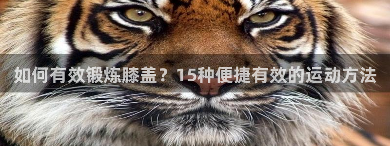 k1体育官网下载平台是正规平台吗安全吗：如何有效锻炼
