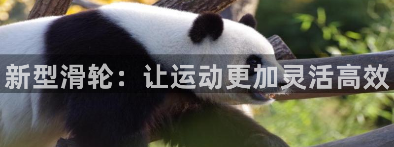 k1体育官方正版app集团logo：新型滑轮：让运动更加灵活