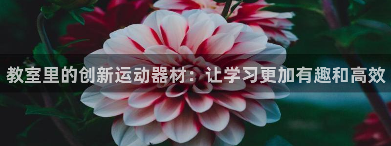 k1体育官网下载招商电话地址查询：教室里的创新运动器材：让学