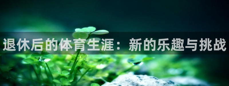3377体育手机平台：退休后的体育生涯：新的乐趣与挑战