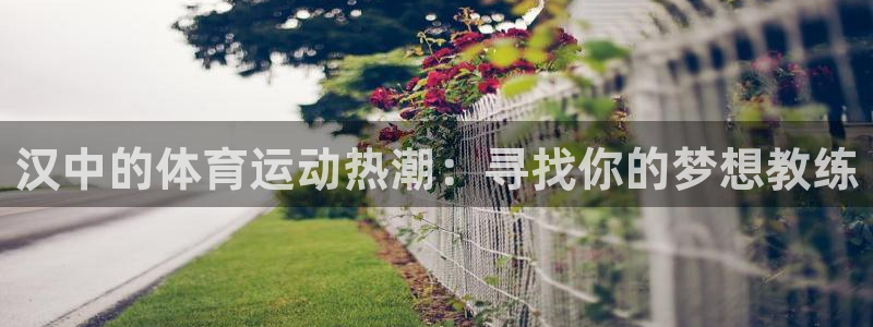 3377体育网页登录入口：汉中的体育运动热潮：寻找你的梦想教练