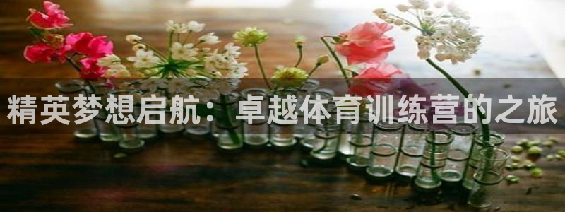 3377体育平台：精英梦想启航：卓越体育训练营的之旅