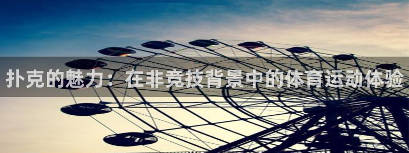 3377体育全网：扑克的魅力：在非竞技背景中的体育运动体验
