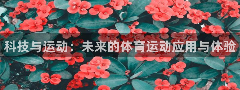 3377体育靠谱吗：科技与运动：未来的体育运动应用与体验