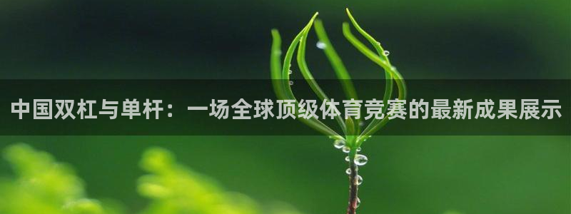 3377体育网页登录入口：中国双杠与单杆：一场全球顶级体育竞赛的最新成果展示