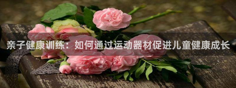 k1体育官方正版app五金厂：亲子健康训练：如何通过运动器材