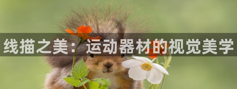 k1体育官方正版app集团官网首页网址：线描之美：运