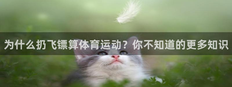 3377体育网页登录入口