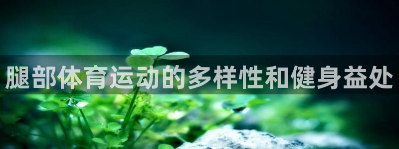 3377体育官网下载：腿部体育运动的多样性和健身益处