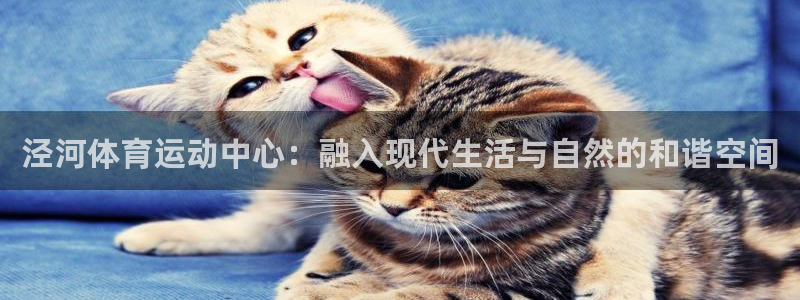 3377体育app下载安装：泾河体育运动中心：融入现代生活与自然的和谐空间